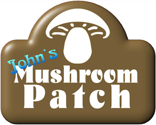 Mushroom Patch
