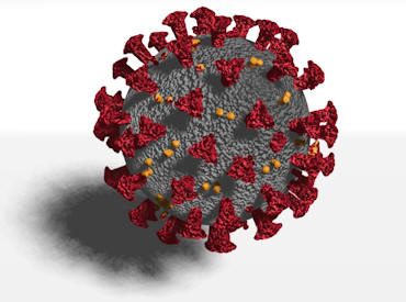 coronvirus